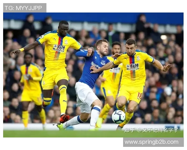 水晶宫主场迎战埃弗顿双方争夺英超宝贵积分之战